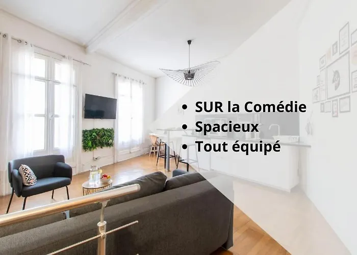 Grand Studio Sur La Comedie